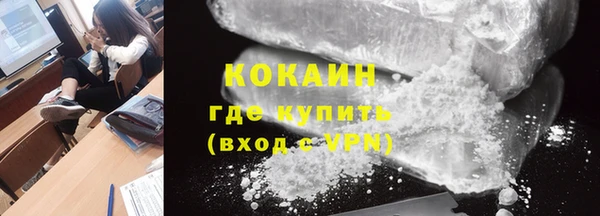 хмурый Арсеньев