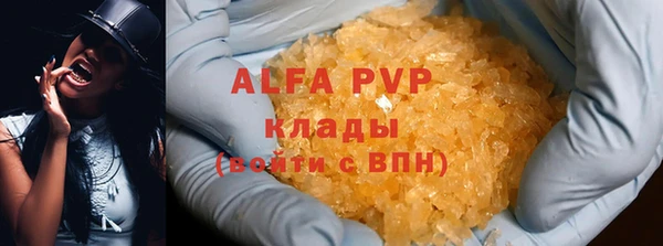 хмурый Арсеньев
