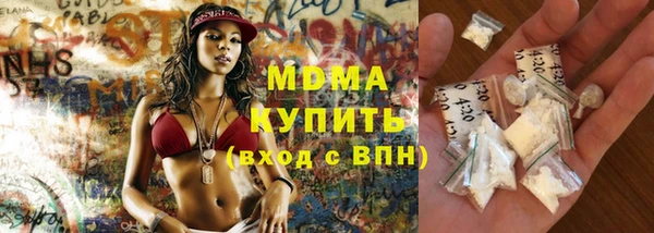 хмурый Арсеньев