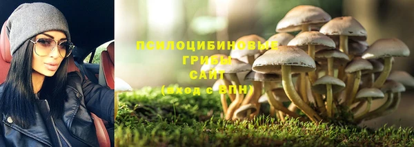 бошки Аркадак
