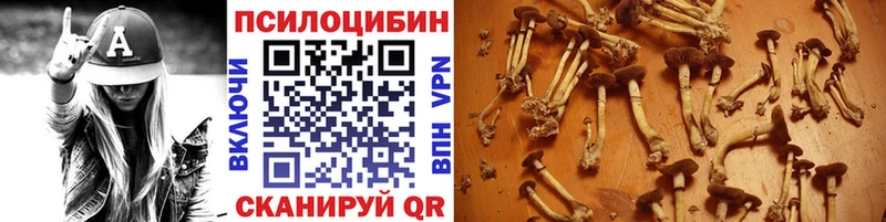 Псилоцибиновые грибы Psilocybine cubensis Новороссийск